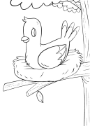 various Online Coloring